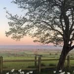 Miriam Berger - @de.ane.do.wast12 - Instagram