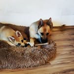 Miriam Berger - @miriam.berger.81 - Instagram