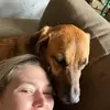 miriambolles - @equityloveandpups - TikTok