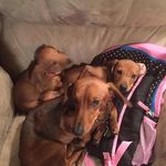Miriam Booth - @miriam.booth.528 - Instagram