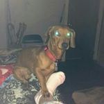 miriam booth - @latheybooth - Instagram