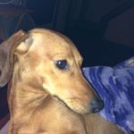 Miriam Latheybooth - @miriamlatheybooth - Instagram