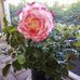 Miriam Busch - Facebook