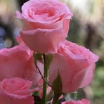 Miriam Carias - Facebook