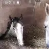 miriamcasey68 - @miriamcasey68 - TikTok