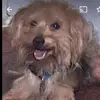 miriamcerna706 - @miriamcerna706 - TikTok