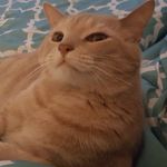 Ketchup Miriam Corbin - @ketchupmiriamcorbin - Instagram