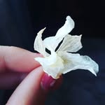 Míriammm ★☆♡♥ - @miriam__crafts - Instagram