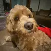 Mia - @mia.crowley311 - TikTok