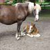 Miriam Eckert - Facebook