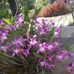 Miriam Helder - Facebook