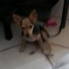 EMANUEL.MIRIAM - @emanuel.miriam - TikTok