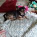 Miriam Epperson - Facebook