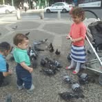Miriam Feinstein - Facebook