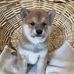 Miriam Nissley - Facebook