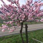 Miriam Glaser - @miriamstowasser - Instagram