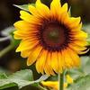 Miriam Gradys - @miriam.gradys - TikTok