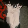 Mizzi - @miriamhorne601 - TikTok