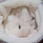 Miriam Hunter - @miriam._.hunter - Instagram