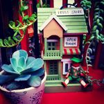 Miriam Islas - @mimitajardines - Instagram