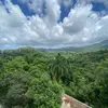 Miriam Jacobs - @miriam.jacobs4 - TikTok