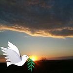 Miriam Jordan - @miriam.jordan.35 - Instagram