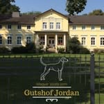 Miriam Jordan - @magyar_vizsla_gutshof_jordan - Instagram