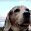 Miriam joya - @miriam.joya - TikTok