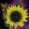 Miriam Juarez - @miriamjuarez95 - TikTok
