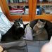 Miryam Karlin - Facebook