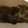Miriam - @miriam.knapp - TikTok