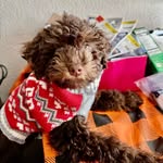 Miriam hope lapp - @miriamhopelapp - Instagram