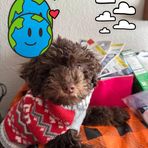 Miriam Lapp - Facebook