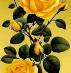 Miriam Lazo - Facebook