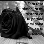 Miriam Limón - @limon3476 - Instagram