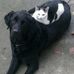 Miriam Maher - Facebook