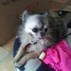 Miriam - @miriammaher - TikTok