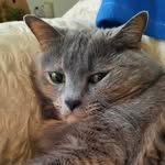 Miriam Meadows - @grandma_meadows_ - Instagram
