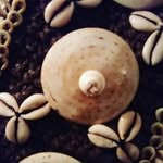 Miriam Meadows - @beaufontbishop - Instagram