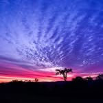 MIRIAM Meadows Bonine - @miriammeadows51 - Instagram