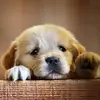 miriammiles880 - @miriammiles880 - TikTok