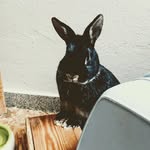 Miriam - @miriam.neffets - Instagram