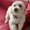 Miriam Soneff - @miriam.soneff - TikTok