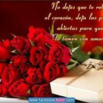 Miriam Padron - @padronmiriam - Instagram