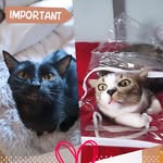 Miriam Post - @mi_r_po - Instagram