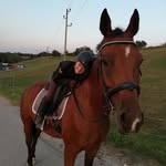 Miriam - @miriam_powerpony - Instagram