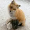 miriamritter295 - @miriamritter295 - TikTok