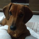 Miriam Roque Oliveira - @amora_3012 - Instagram