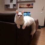 Miriam Ruffini - @ruffini.miriam - Instagram