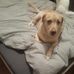 Mirjam Schaeffer - Facebook